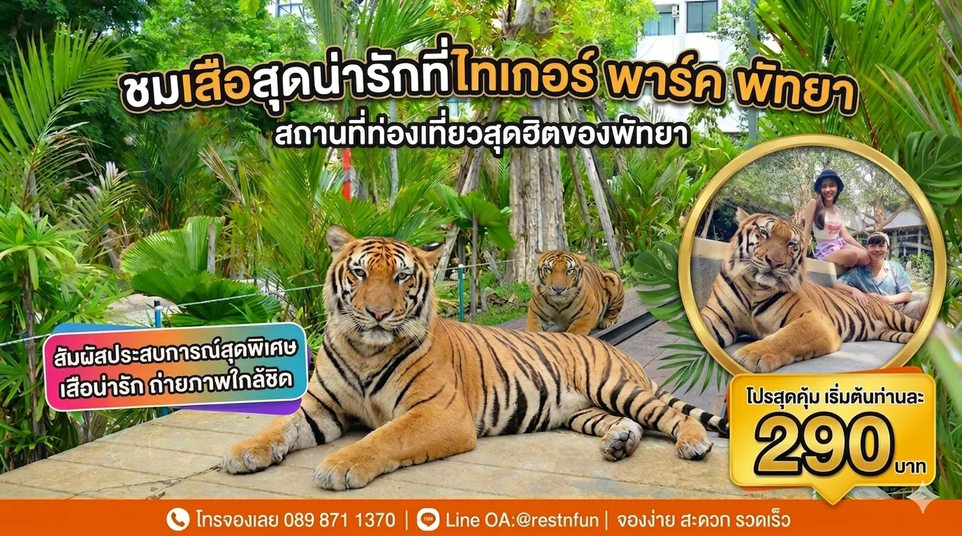 ราคาบัตรชมเสือที่สวนเสือพัทยาสุดคุ้ม